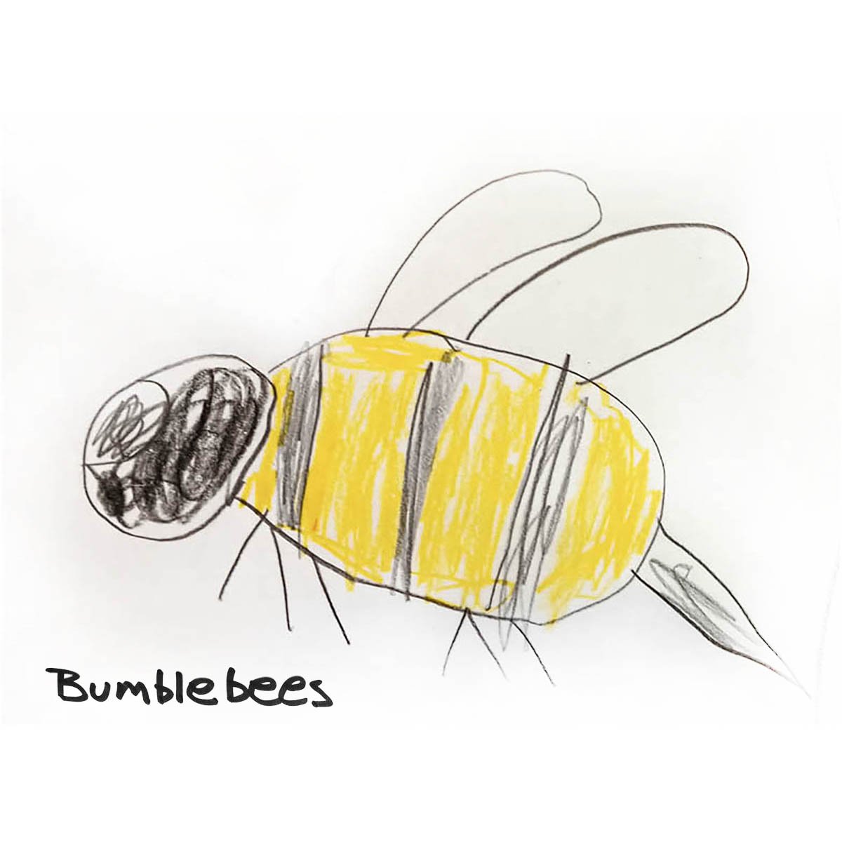 Bumblebees