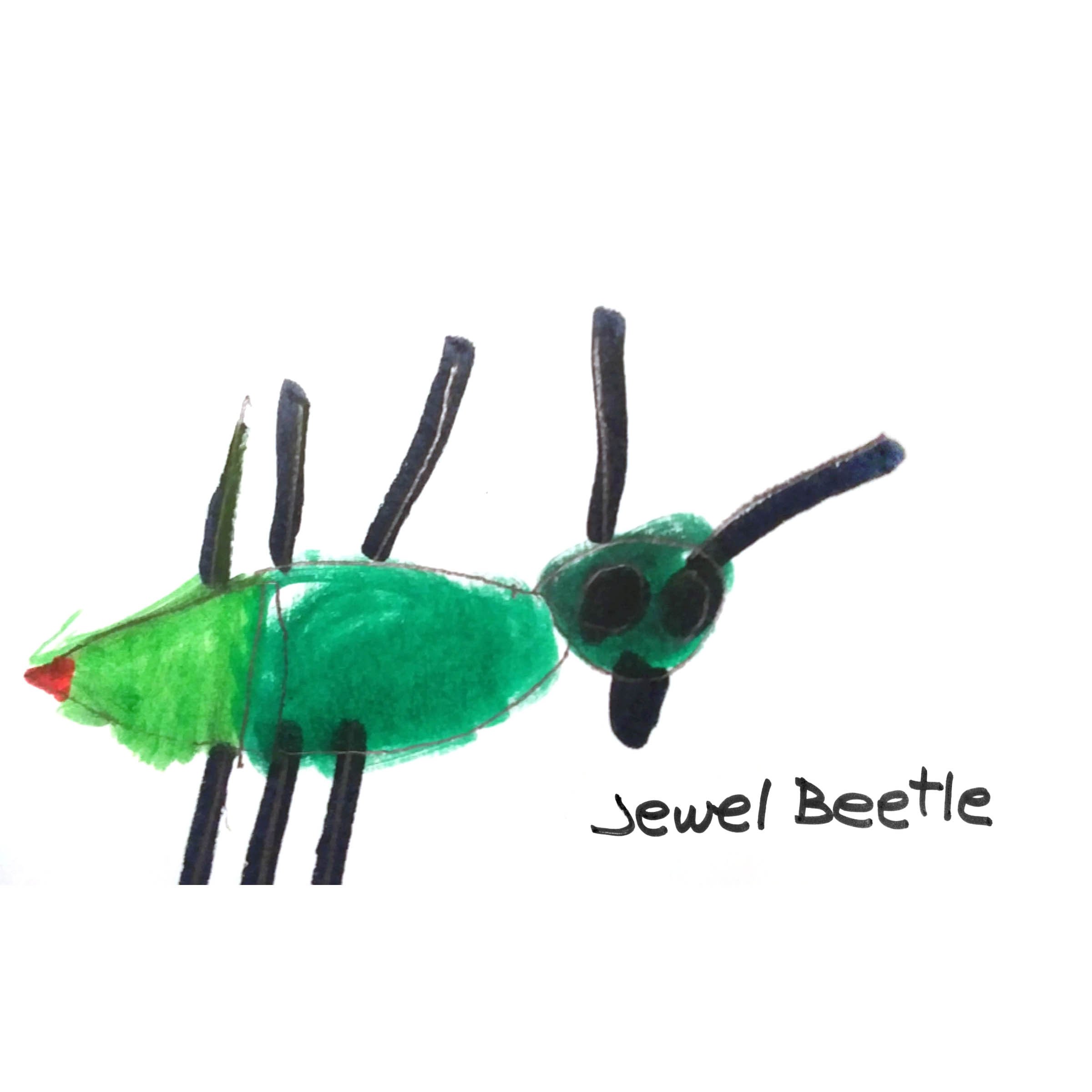 Jewel Beetle